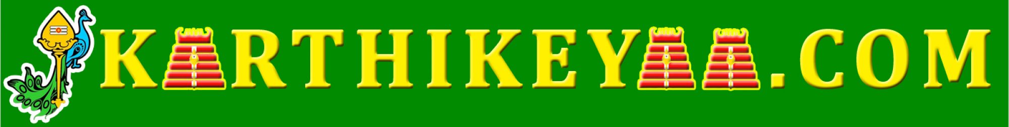 SK NAREN GARMENTS - KARTHIKEYAA.COM